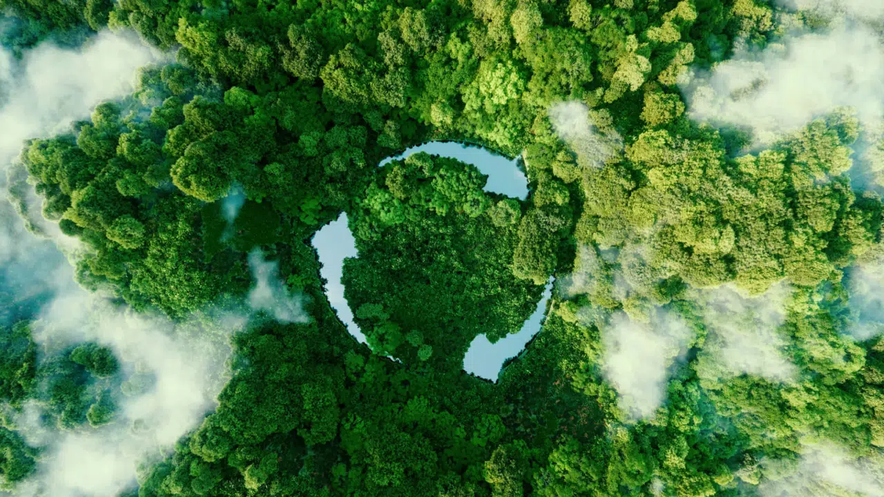 Sustainability image